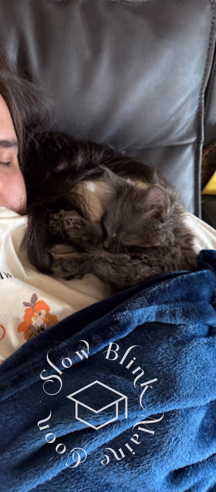 Customer Pictures of their Maine Coon Cats and Kittens who "Graduated" from SlowBlink MaineCoons > blue smoke poly max hill aug 2024 1
