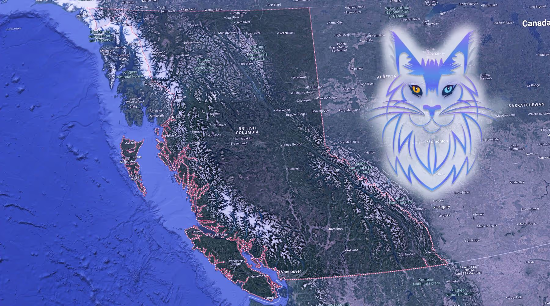 Maine Coons in BC from SlowBlink