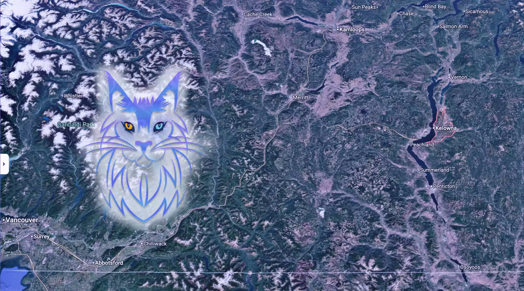 Maine Coons in Kelowna from SlowBlink