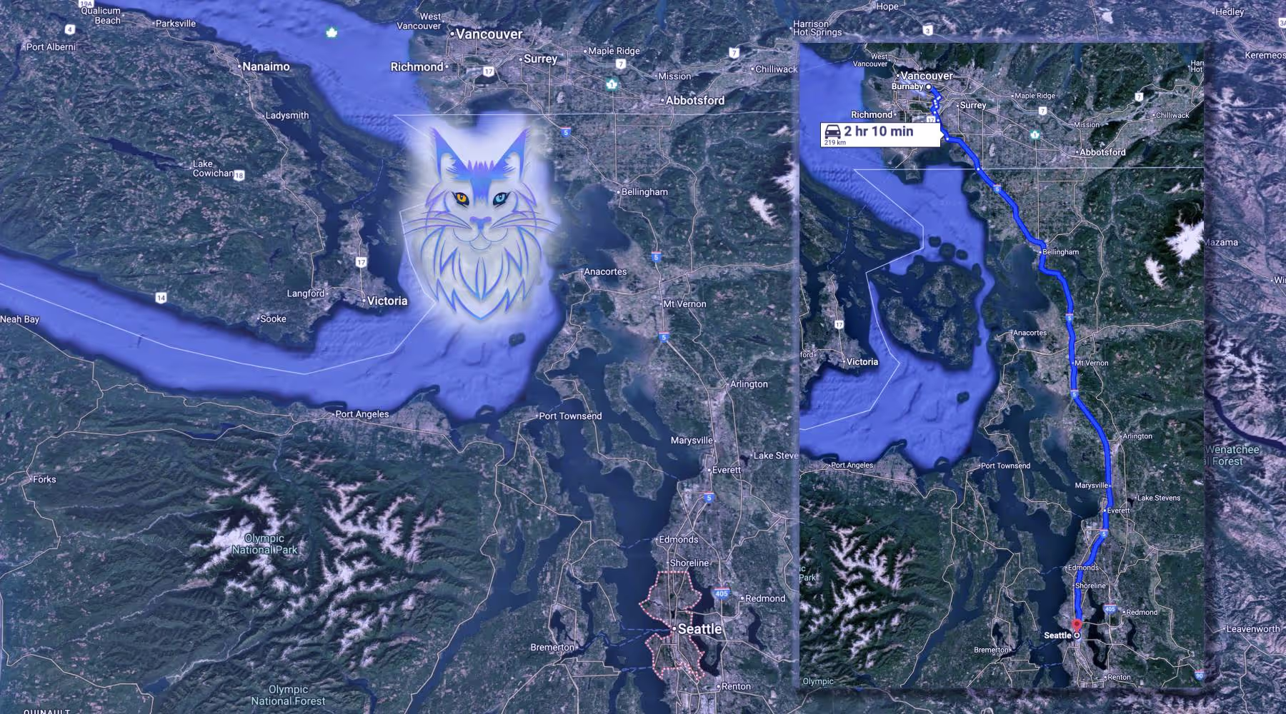 Maine Coons in Seattle from SlowBlink