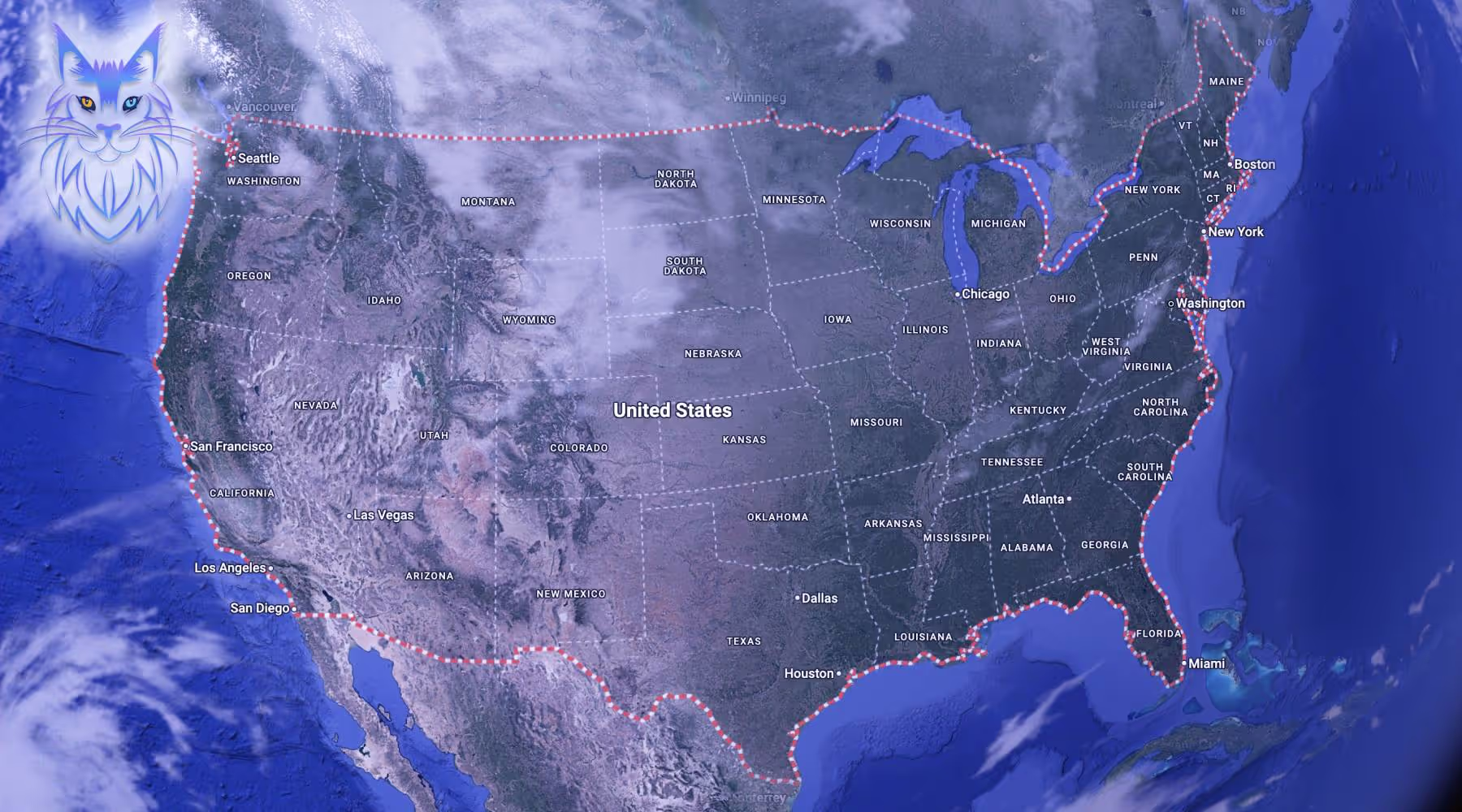 Maine Coons in USA from SlowBlink