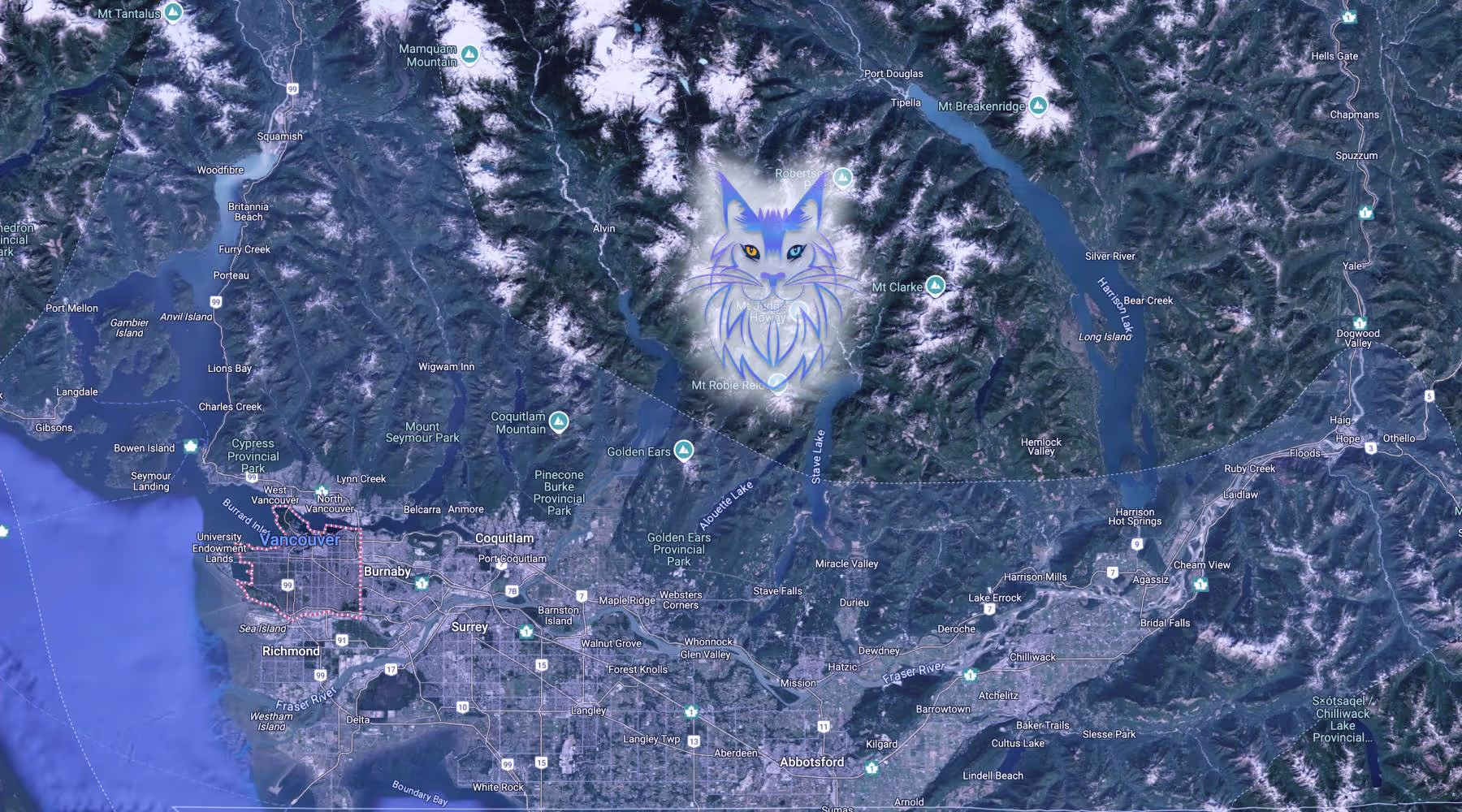 Maine Coons in Vancouver from SlowBlink