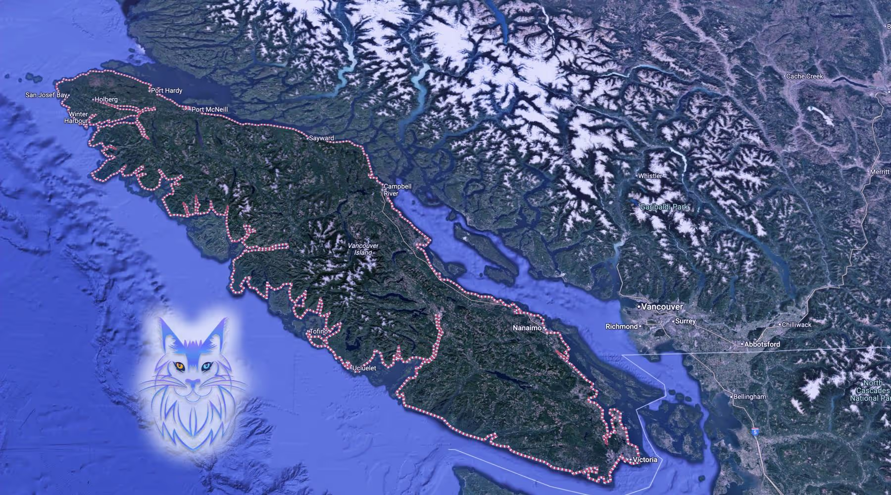 Maine Coons in Vancouver Island from SlowBlink
