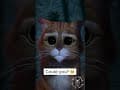 YouTube Shorts Maine Coon Video Thumbnail