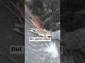 YouTube Shorts Maine Coon Video Thumbnail