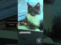 YouTube Shorts Maine Coon Video Thumbnail