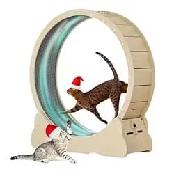 Cat Exercise Wheel