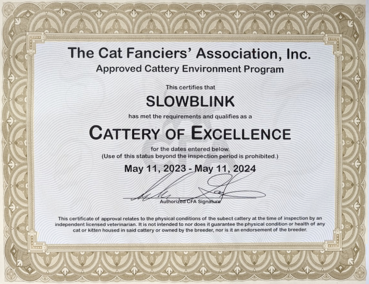 CFA (Cat Fanciers' Association) Cattery of Excellence Certificate Picture
