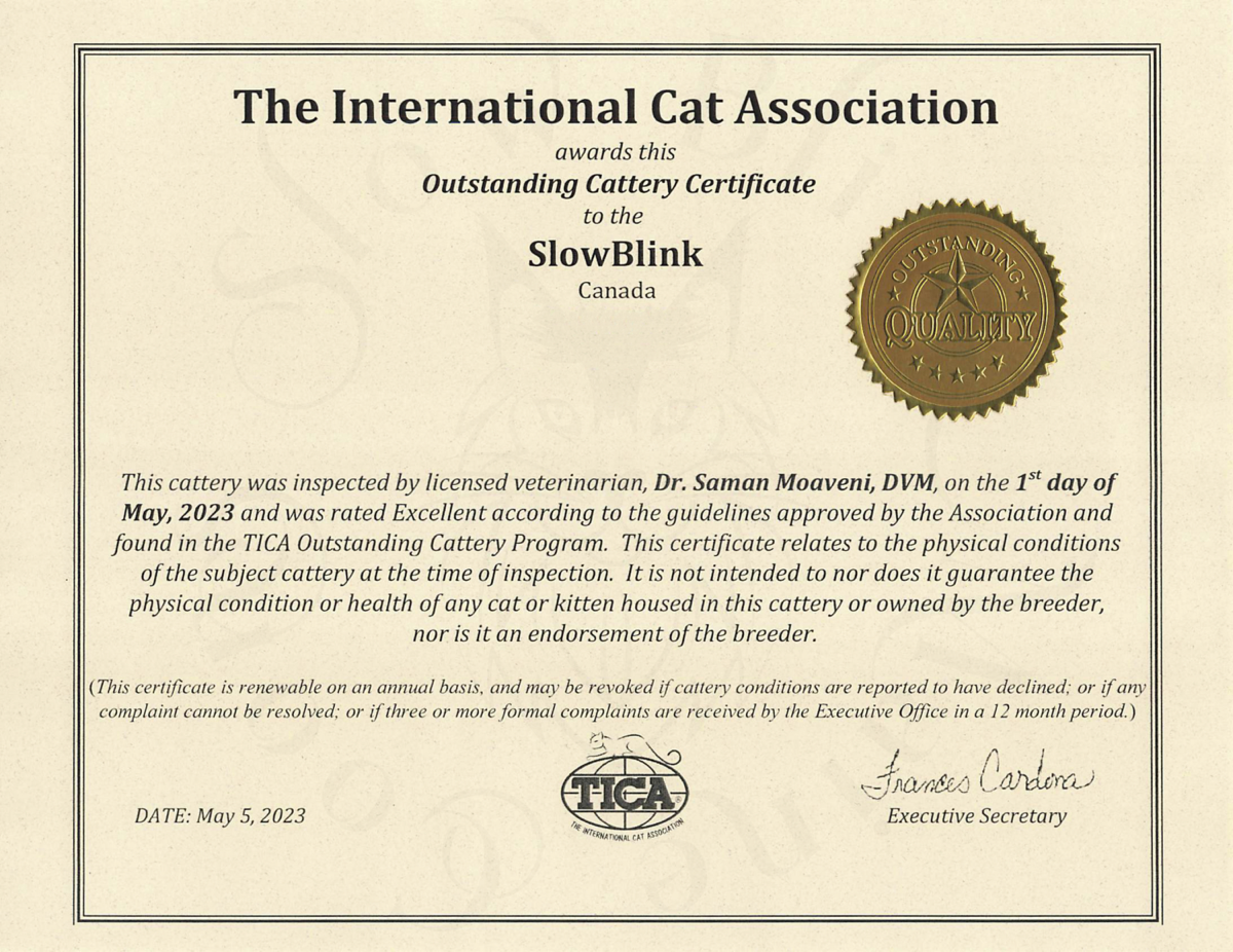 TICA (The International Cat Association) Outstanding Cattery Certificate Picture