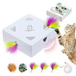 Automated Cat Toy