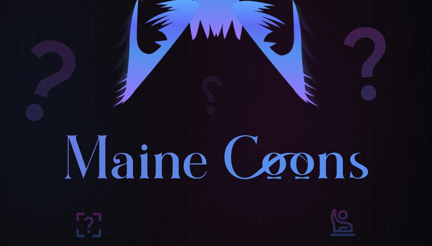 General Maine Coon questions and answers from SlowBlink