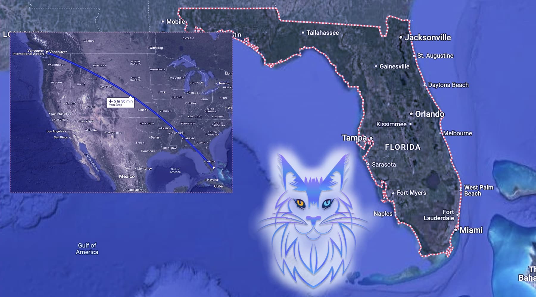 Maine Coon Breeders Florida | SlowBlink Maine Coons
