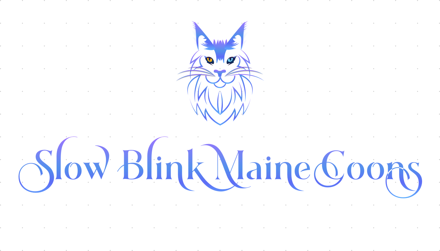 Trusted Top Registered Maine Coon Cat Breeders